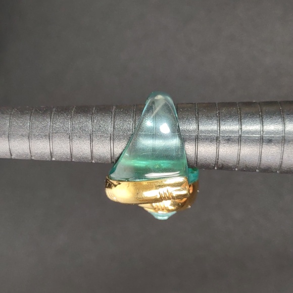 Nautilus Shell Lucite Ring - Picture 6 of 9